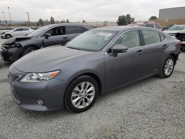  LEXUS ES300 2014 Szary