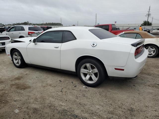  DODGE CHALLENGER 2013 Білий