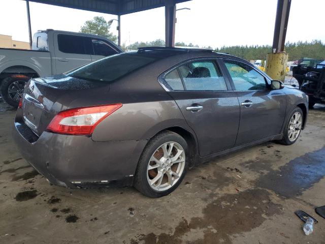  NISSAN MAXIMA 2012 Серый