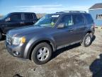 2010 Ford Escape Xlt на продаже в Assonet, MA - Normal Wear