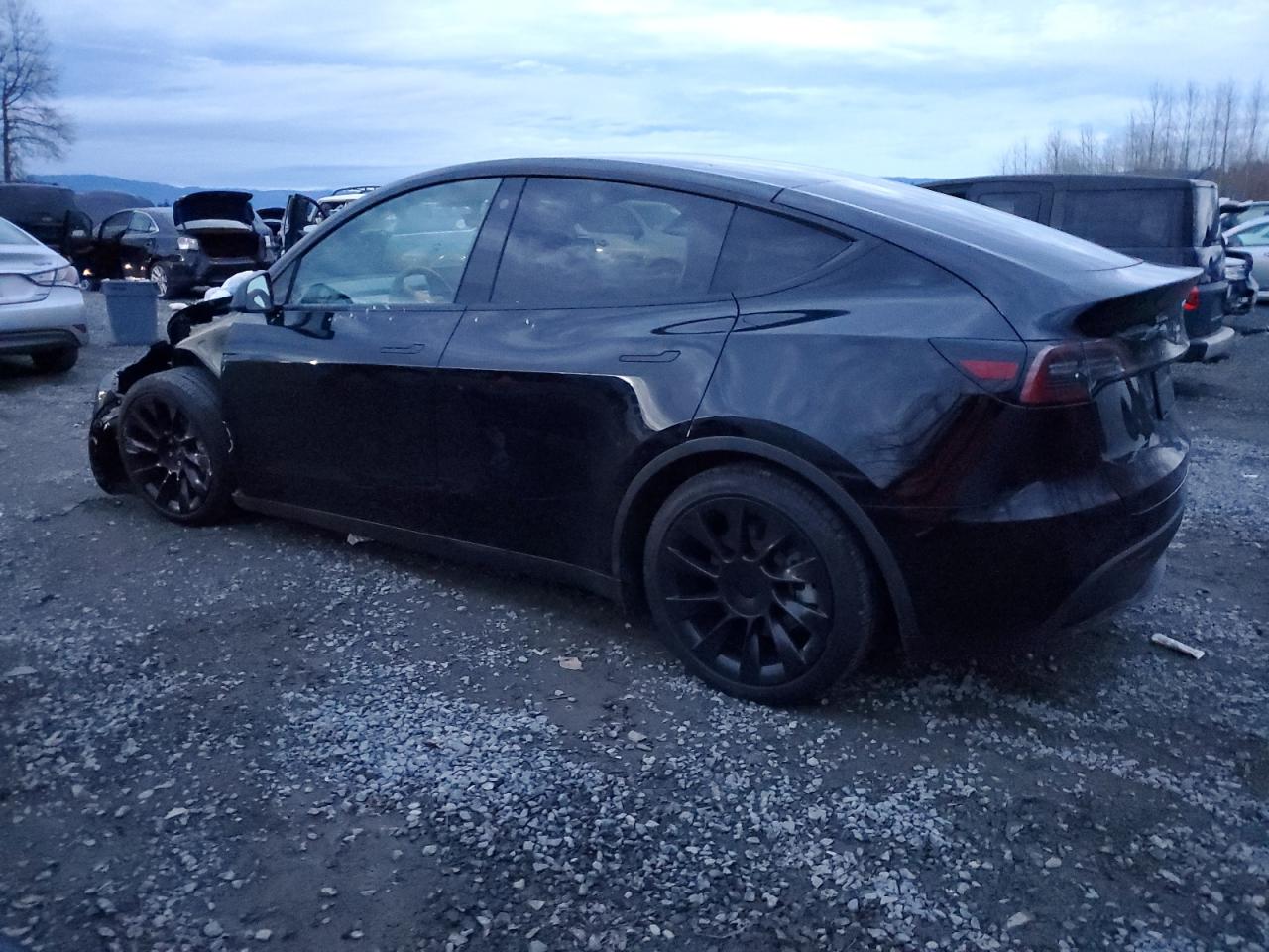 VIN 5YJYGDEE8MF282339 2021 TESLA MODEL Y no.2