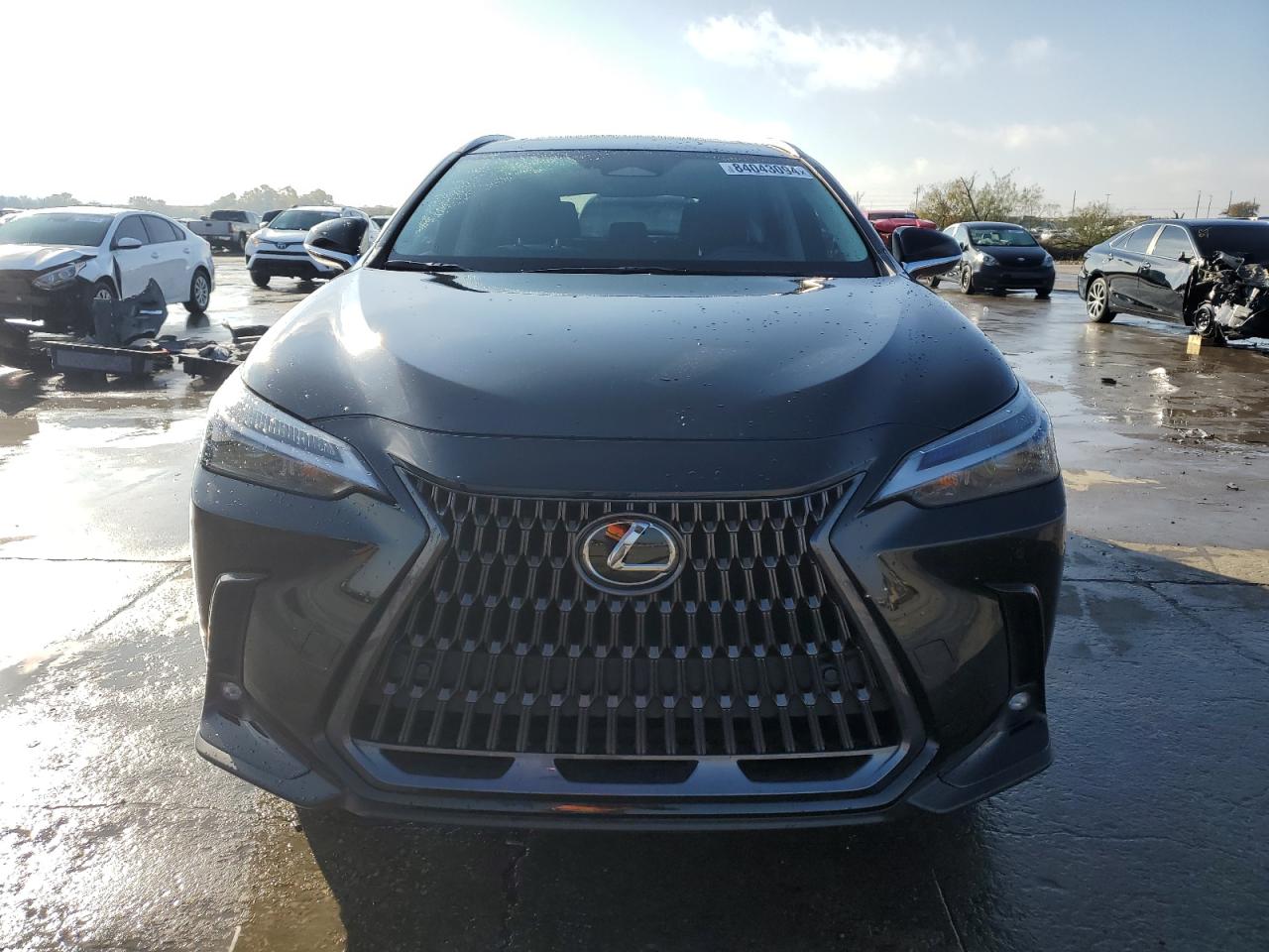 2023 Lexus NX - Image 5