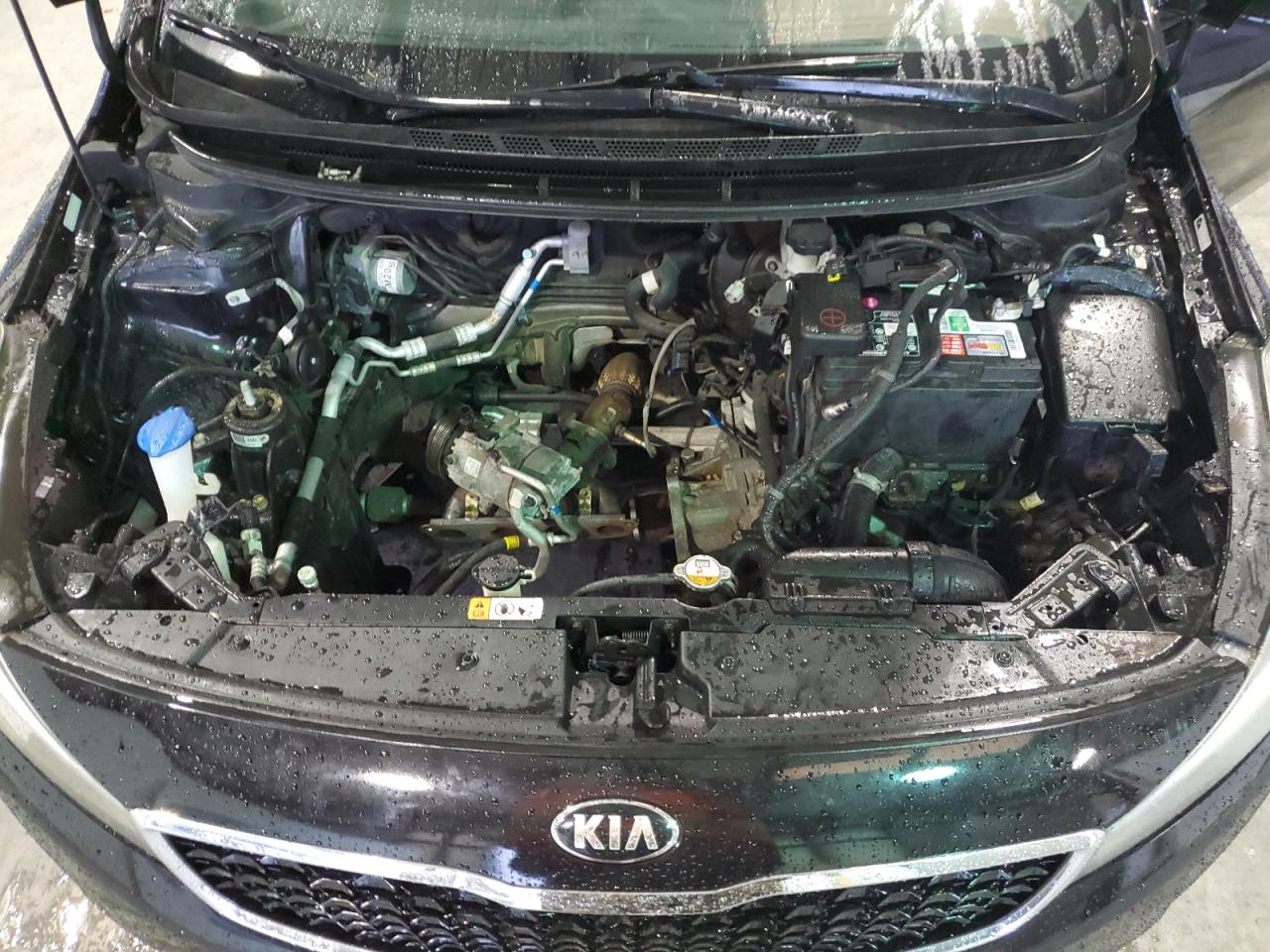 VIN KNAFK5A86H5692444 2017 KIA FORTE no.12