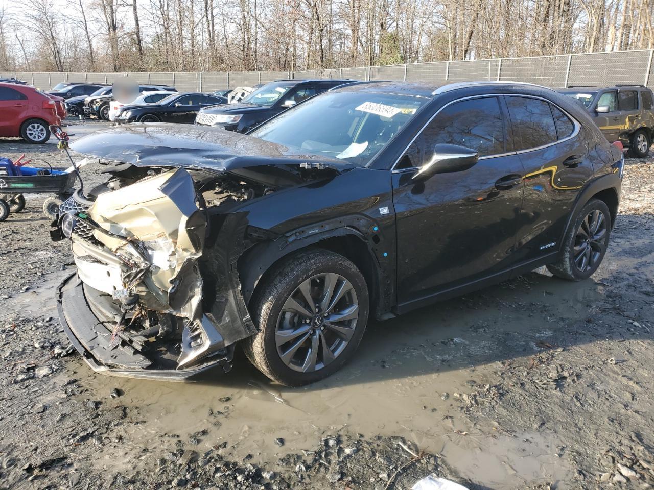 2021 Lexus UX - Image 1