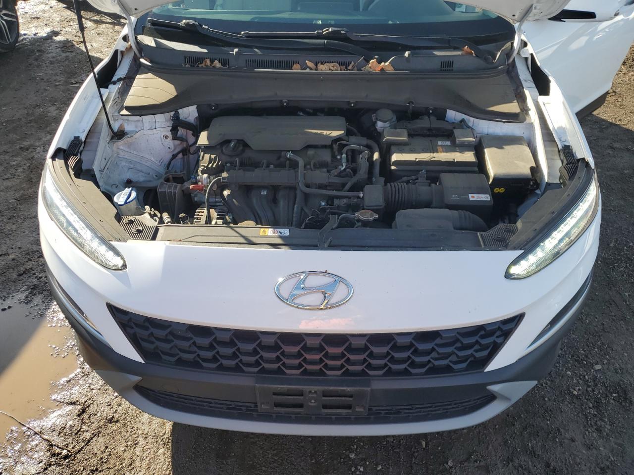 2022 Hyundai Kona Sel VIN: KM8K32AB5NU768063 Lot: 85808694