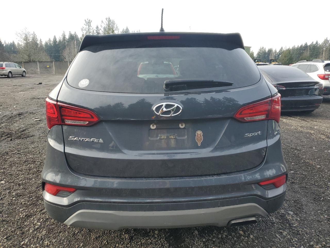 VIN 5XYZT3LB4JG560466 2018 HYUNDAI SANTA FE no.6