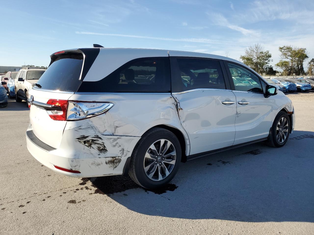 2024 Honda Odyssey - Image 3