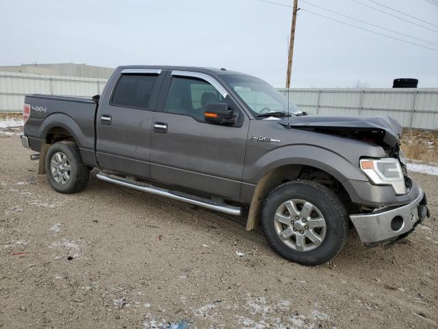  FORD F-150 2014 Szary