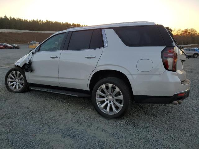  CHEVROLET TAHOE 2023 Белый