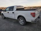 2011 Ford F150 Supercrew продається в Mentone, CA - Minor Dent/Scratches