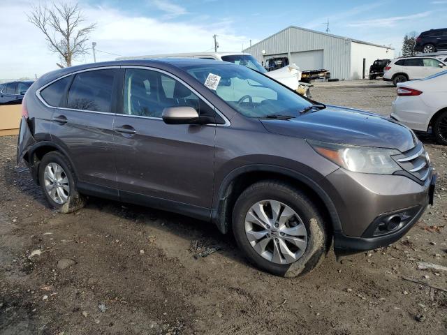  HONDA CRV 2013 tan