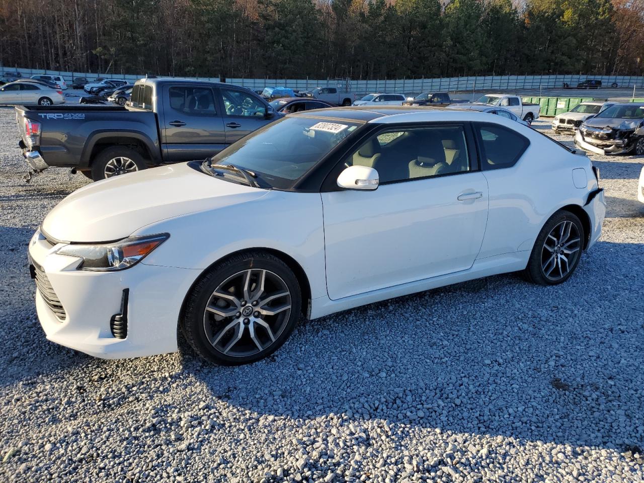 Scion tC
