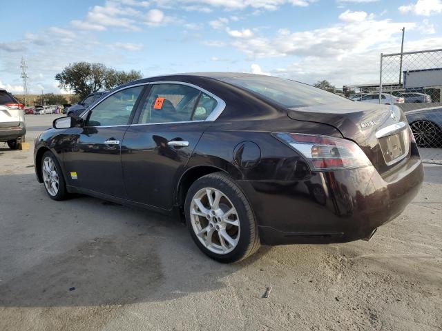  NISSAN MAXIMA 2013 Brown