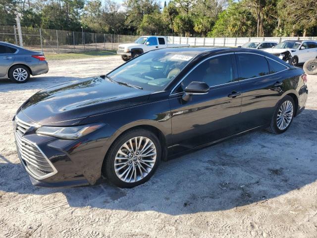 2019 Toyota Avalon Xle