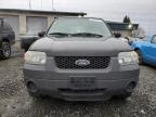 2005 Ford Escape Xls zu verkaufen in Eugene, OR - Side