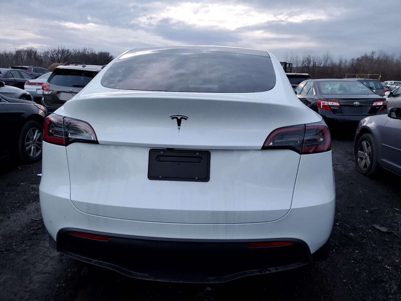 2024 Tesla Model Y VIN: 7SAYGDED2RF159699 Lot: 84824804