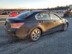 2009 HONDA ACCORD EXL for sale at Copart NS - HALIFAX