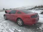 2014 Ford Mustang  for Sale in Reno, NV - Front End