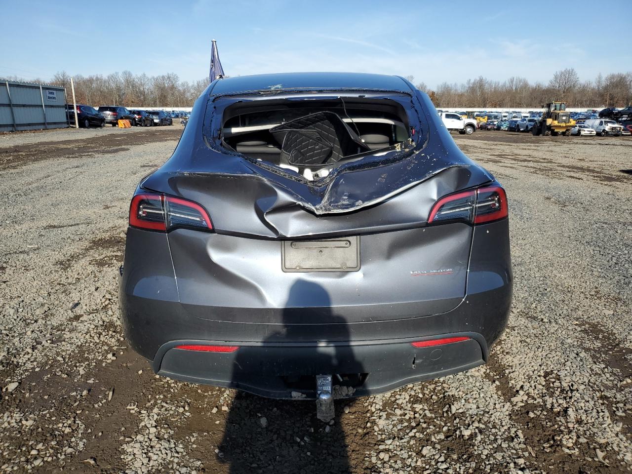 2023 Tesla Model Y VIN: 7SAYGDEF7PF779074 Lot: 85343464