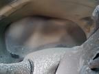 2024 Nissan Altima Sr იყიდება Kansas City-ში, KS - Burn