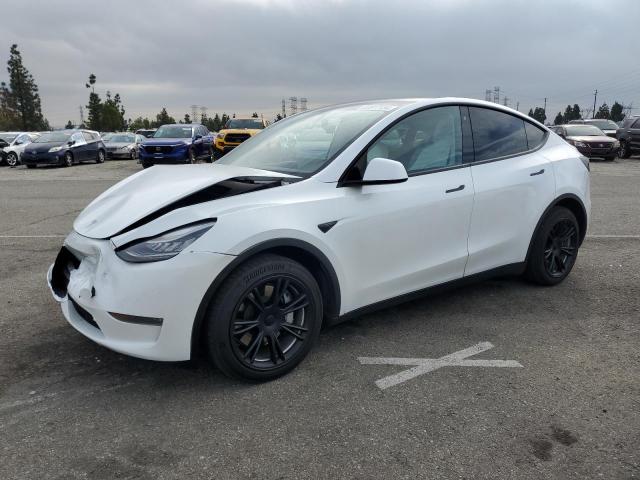 2020 Tesla Model Y 