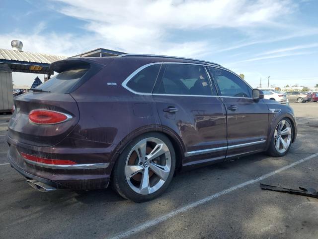  BENTLEY ALL MODELS 2021 Maroon