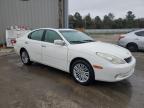 2006 Lexus Es 330 en Venta en Memphis, TN - Rear End
