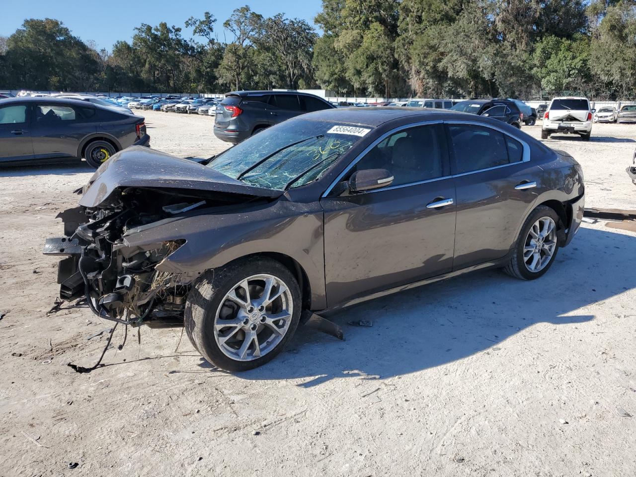 2013 Nissan Maxima S for Sale in Ocala, FL - Front End