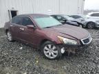 2010 Honda Accord Exl للبيع في Windsor، NJ - Front End