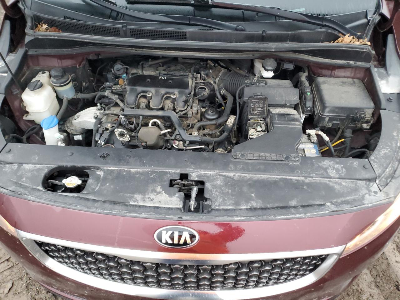 VIN KNDMB5C17H6247666 2017 KIA All Models no.12