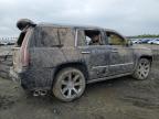 2016 Cadillac Escalade Premium للبيع في Fresno، CA - Water/Flood