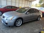 2008 Nissan Maxima Se en Venta en Midway, FL - Front End