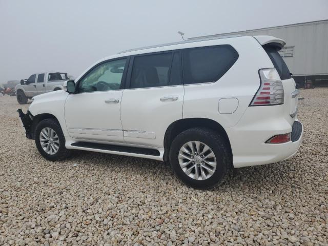  LEXUS GX 2019 Biały