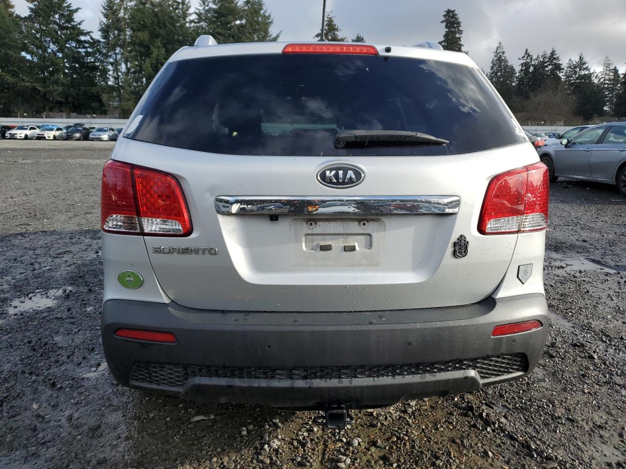 2013 Kia Sorento Lx VIN: 5XYKTDA28DG423917 Lot: 86017304