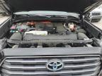 2023 Toyota Sequoia Sr5 за продажба в Wayland, MI - Rollover