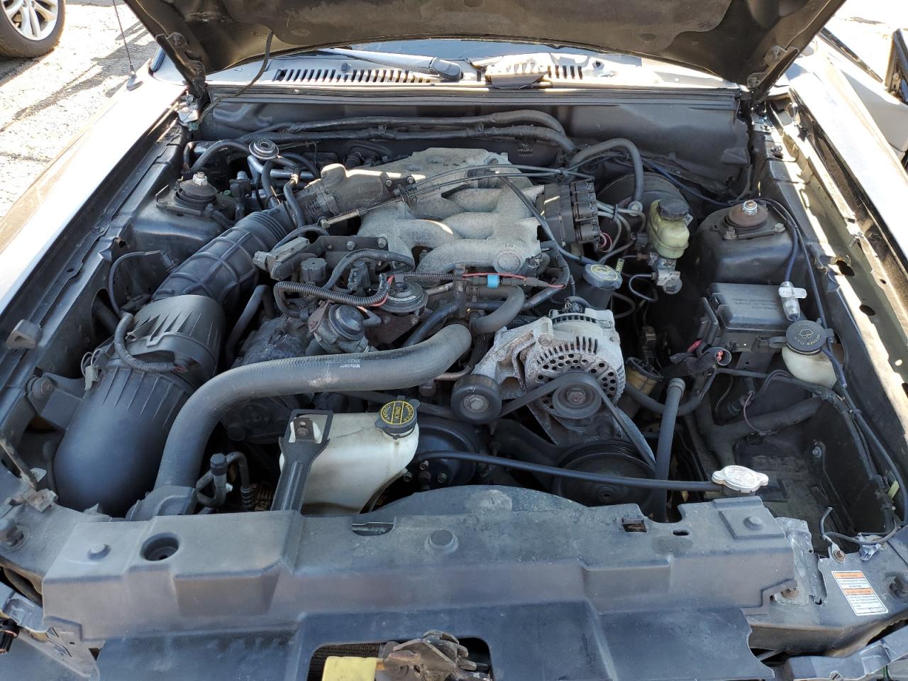 1999 Ford Mustang - Image 11