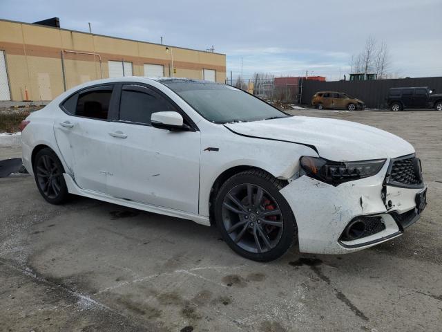  ACURA TLX 2019 Білий