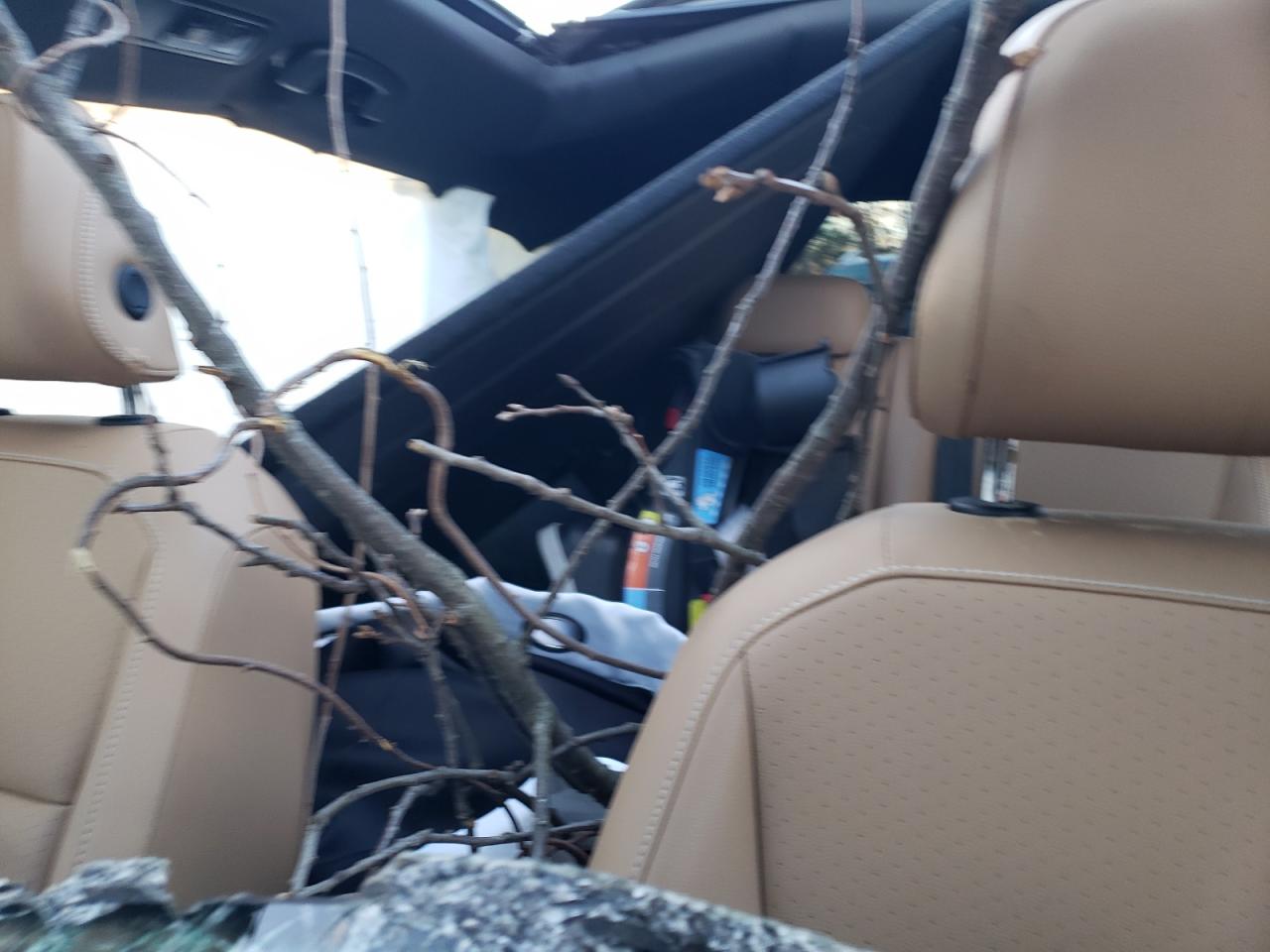 Auction sale of the 2024 VOLKSWAGEN TIGUAN , vin: 3VVMB7AXXRM092004, lot number: 85285184