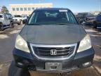 2009 Honda Odyssey Touring للبيع في Littleton، CO - Hail