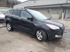 2014 Ford Escape Se for Sale in Ellwood City, PA - Side