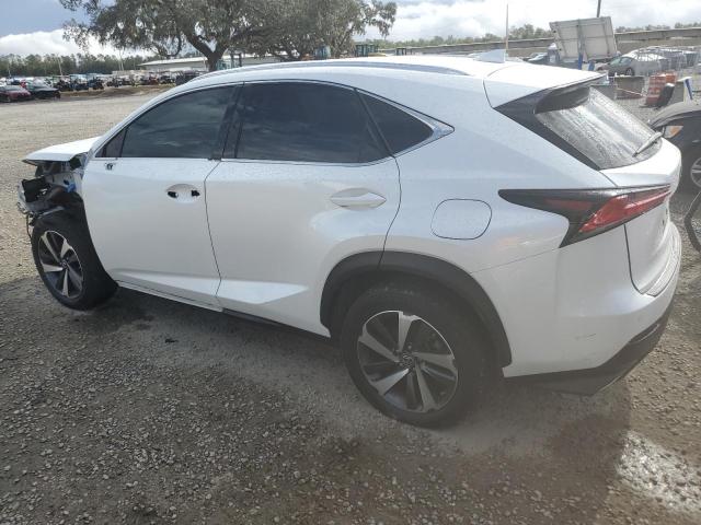  LEXUS NX 2020 Biały