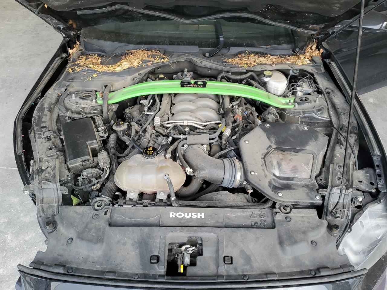 2019 Ford Mustang - Image 12