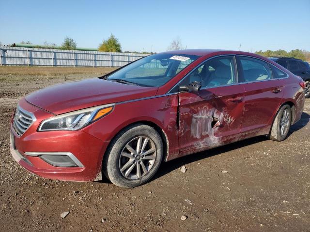  HYUNDAI SONATA 2016 Czerwony