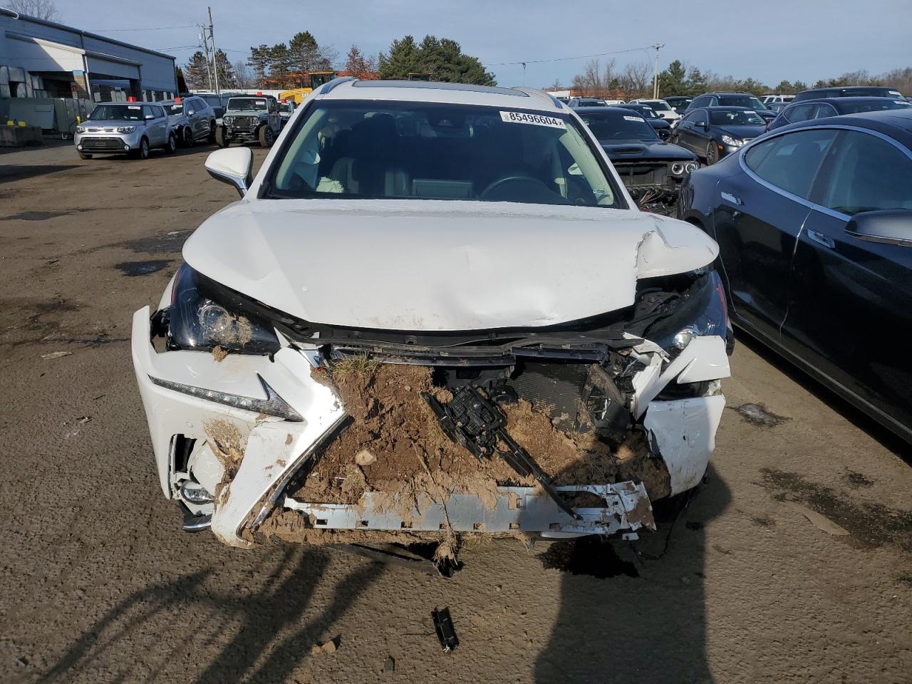 VIN JTJBARBZ9K2182095 2019 LEXUS NX no.5