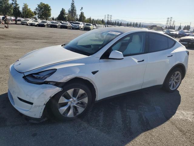  TESLA MODEL Y 2021 White