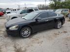 2009 Nissan Maxima S продається в Lexington, KY - Top/Roof