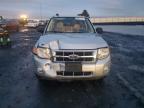 2008 Ford Escape Xlt zu verkaufen in Airway Heights, WA - Front End