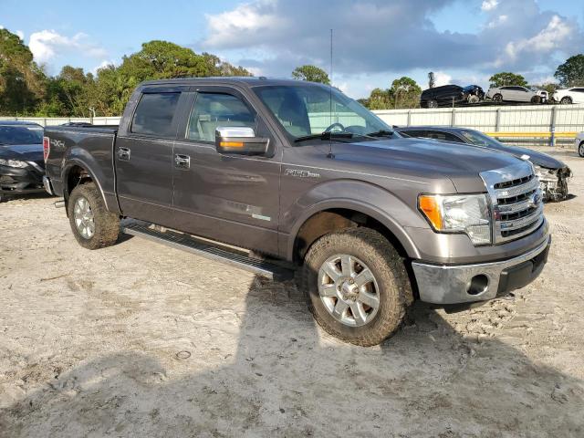  FORD F-150 2013 Szary