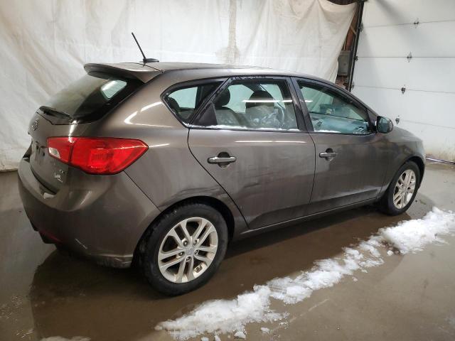  KIA FORTE 2012 Цвет загара