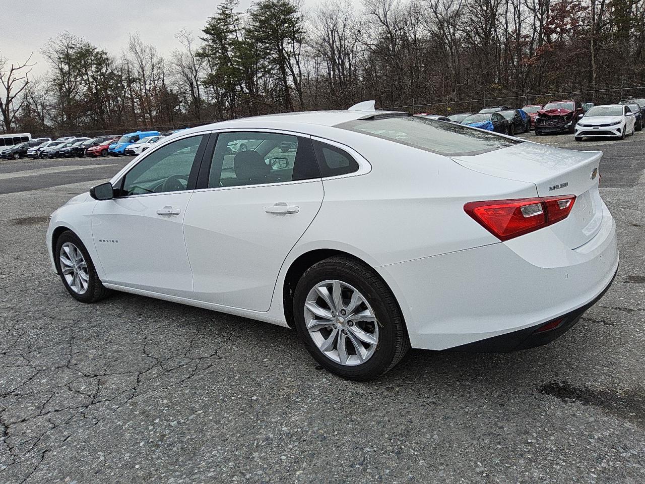 VIN 1G1ZD5ST2RF206519 2024 CHEVROLET MALIBU no.2